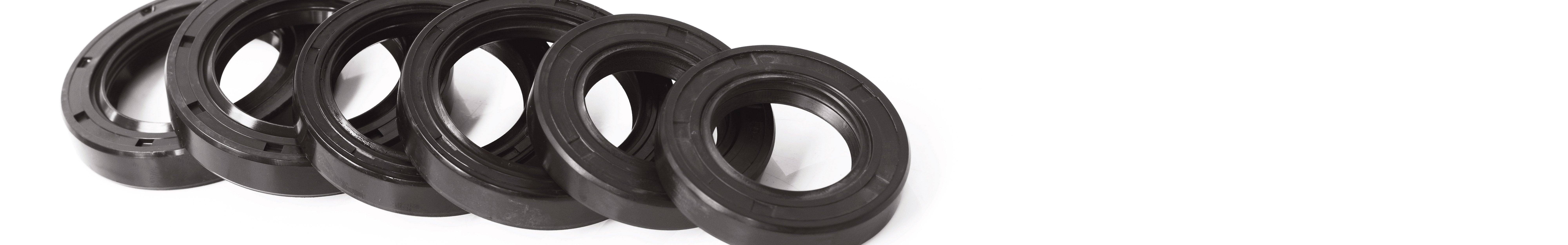 Oil Seal Buying Guide – Totally Seals